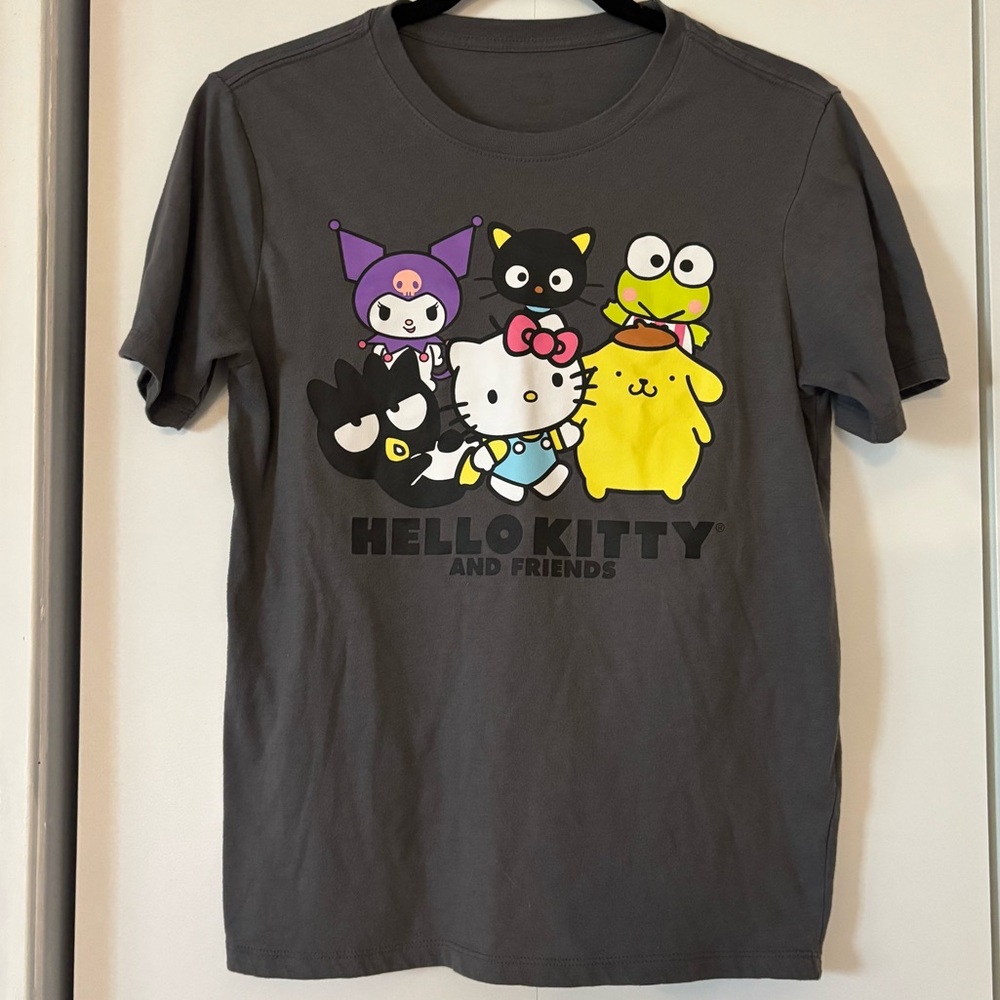 Hello Kitty & Friends Girls XL 14/16 Gray Graphic T-Shirt Sanrio Character Tee
